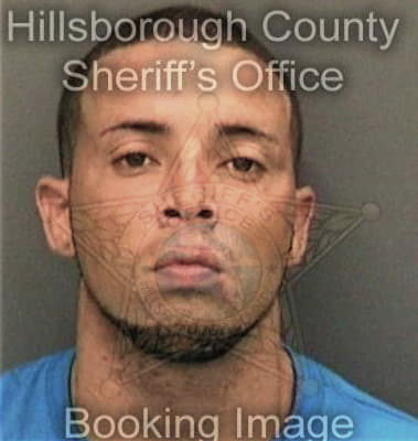 Jerry Bozeman - Hillsborough County, FL 