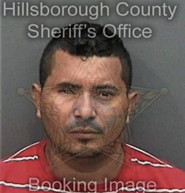 Hector Melendezdiaz - Hillsborough County, FL 