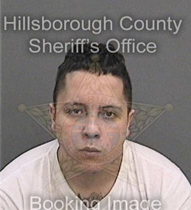 John Miller - Hillsborough County, FL 