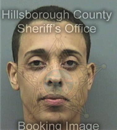 David Rheault, - Hillsborough County, FL 