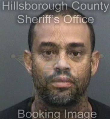 Lorenzo Williams, - Hillsborough County, FL 