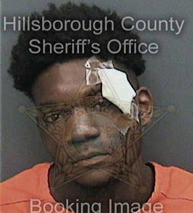 Mujahid Aziz, - Hillsborough County, FL 