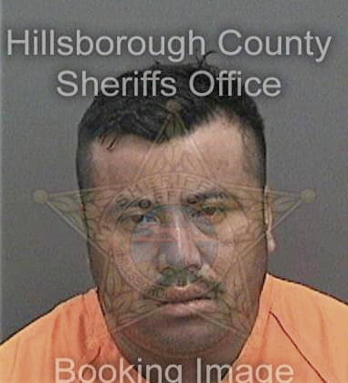 Robert Brown, - Hillsborough County, FL 