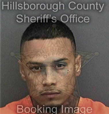 Raul Dieguez, - Hillsborough County, FL 