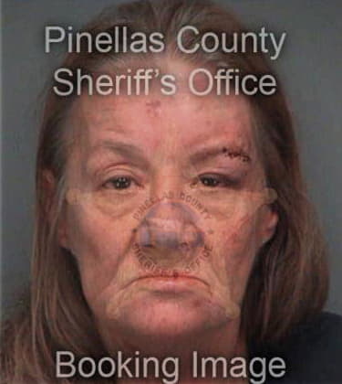 Christy Perham, - Pinellas County, FL 