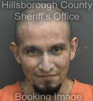 Ricardo Rodriguez, - Hillsborough County, FL 