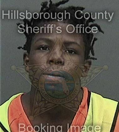 Leilan Lewis, - Hillsborough County, FL 