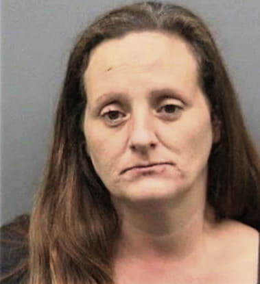 Lisa Lloyd - Hillsborough County, FL 
