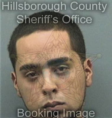 Kelley McDonald - Hillsborough County, FL 