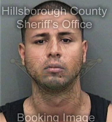 Jesus Saldana, - Hillsborough County, FL 