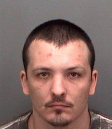 Michael Smigelski - Pinellas County, FL 