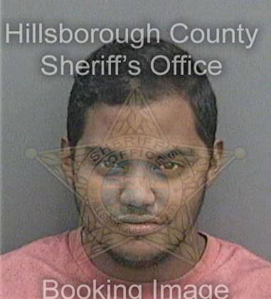 Michael Suber, - Hillsborough County, FL 