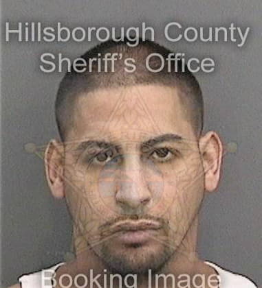 Ahmed Abuelenen, - Hillsborough County, FL 