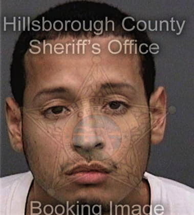 Manuel Aldoyn, - Hillsborough County, FL 