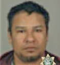 Raven Bell - Multnomah County, OR 