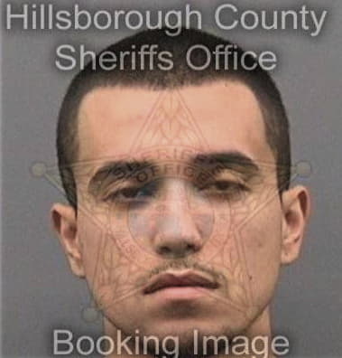 Jeffery Brooks, - Hillsborough County, FL 