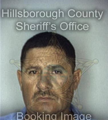 Don Hayes, - Hillsborough County, FL 