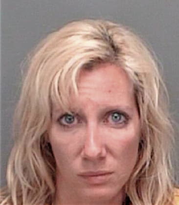 Jennifer Mattison - Pinellas County, FL 