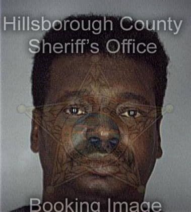 Lewis McReynolds - Hillsborough County, FL 