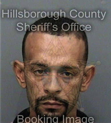 Corey Nelson, - Hillsborough County, FL 