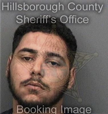 Alex Quesada, - Hillsborough County, FL 