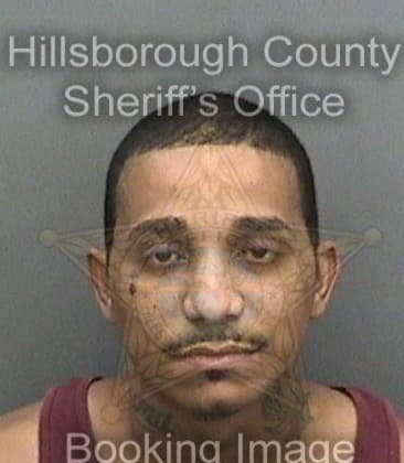 Carl Seiber, - Hillsborough County, FL 