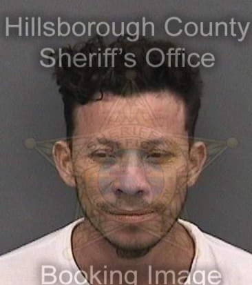 Carl Seiber, - Hillsborough County, FL 