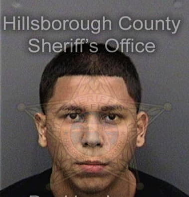 Pedro Serranorodriguez, - Hillsborough County, FL 