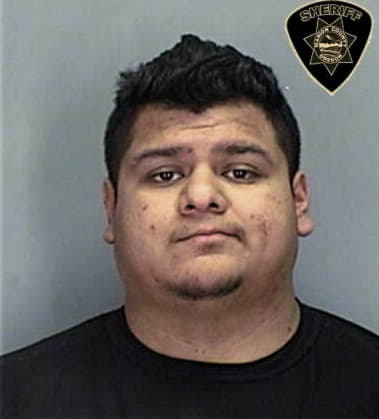 Gustavo Sosa, - Marion County, OR 