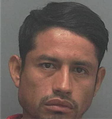 Jose Dearcia-Guillen, - Lee County, FL 