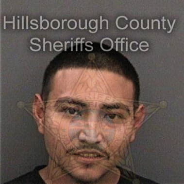 Sean Driggers, - Hillsborough County, FL 