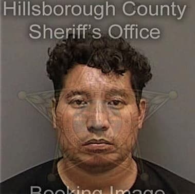 Nicholas Flammia, - Hillsborough County, FL 