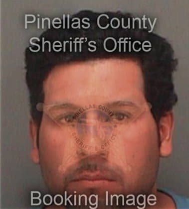 Marcelo Gomesrosales, - Pinellas County, FL 