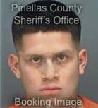 Gregorio Jimenezordomez, - Pinellas County, FL 