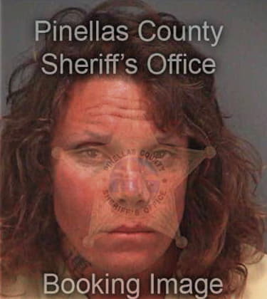 Amanda Lee, - Pinellas County, FL 