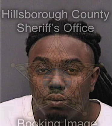 Dashawn Nelson, - Hillsborough County, FL 