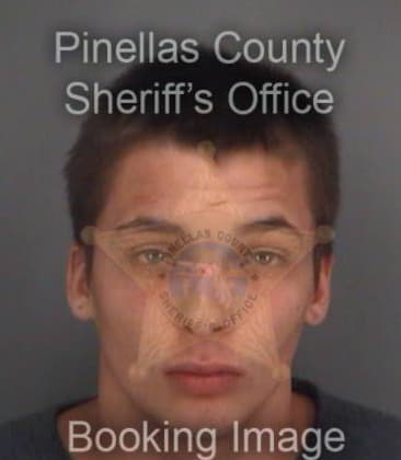 Brian Williams, - Pinellas County, FL 