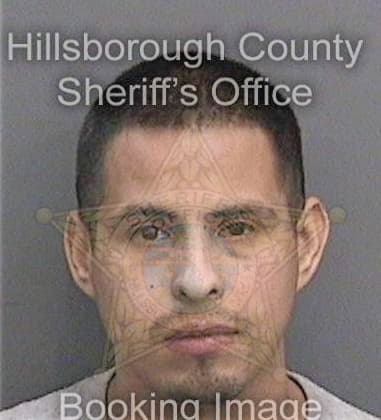 Ray Cline - Hillsborough County, FL 