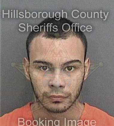 Timothy Guckeyson, - Hillsborough County, FL 