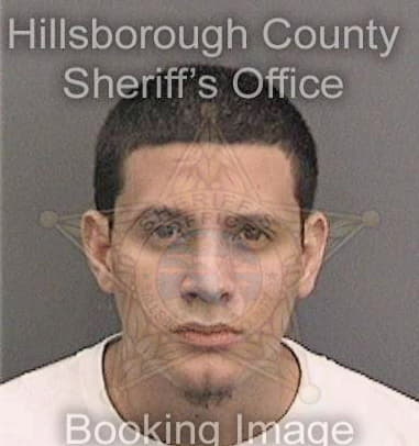 Luis Martinez, - Hillsborough County, FL 