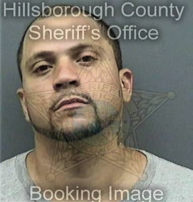 William Sorrentino, - Hillsborough County, FL 