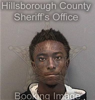 Anthony Tyson, - Hillsborough County, FL 