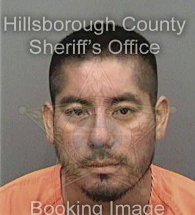 Brandon Williams - Hillsborough County, FL 