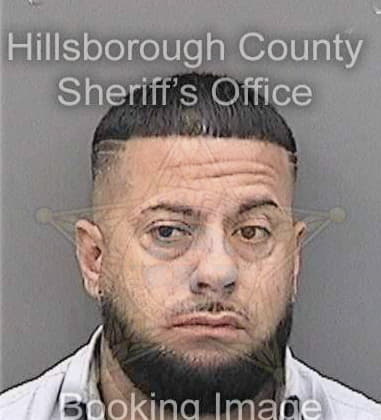 Leonardo Bautistaaquino, - Hillsborough County, FL 