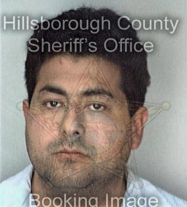 Frances Bragg - Hillsborough County, FL 