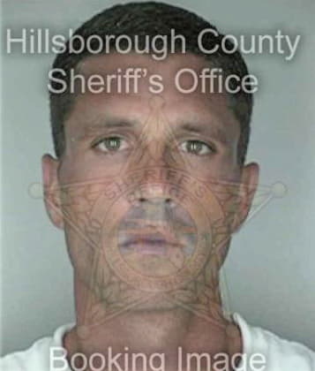 Joseph Comellas, - Hillsborough County, FL 