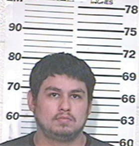 Jesus Garcia, - Hidalgo County, TX 