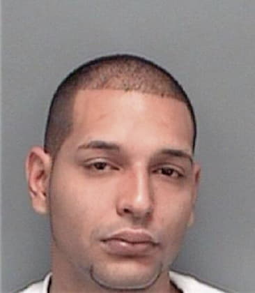 Raul Hernandez, - Pinellas County, FL 