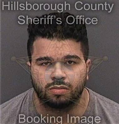 Jacob Ortiz, - Hillsborough County, FL 