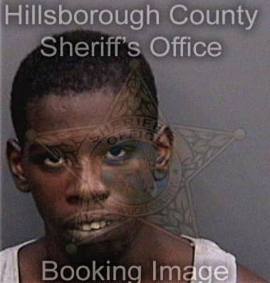 Deterrio Young, - Hillsborough County, FL 